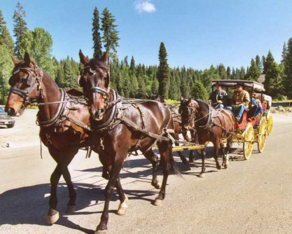 2004 Fish Camp Wagon
