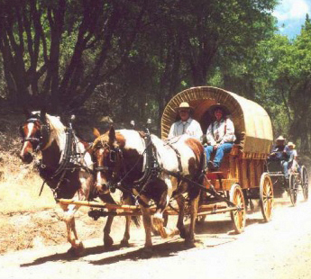 2004 Paints Wagon