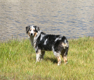 FLASH AT Flash at Joe Crane Lake