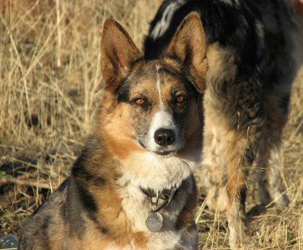 Foxy at her best