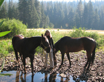 Good Morning at Knoblock Meadow