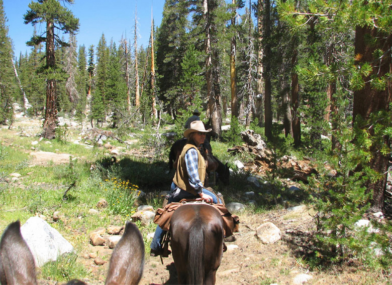 Up The Trail