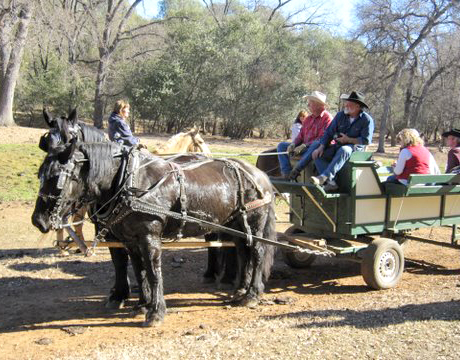 Wagon Team New Year's 2012