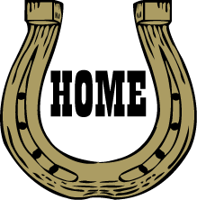 Home button